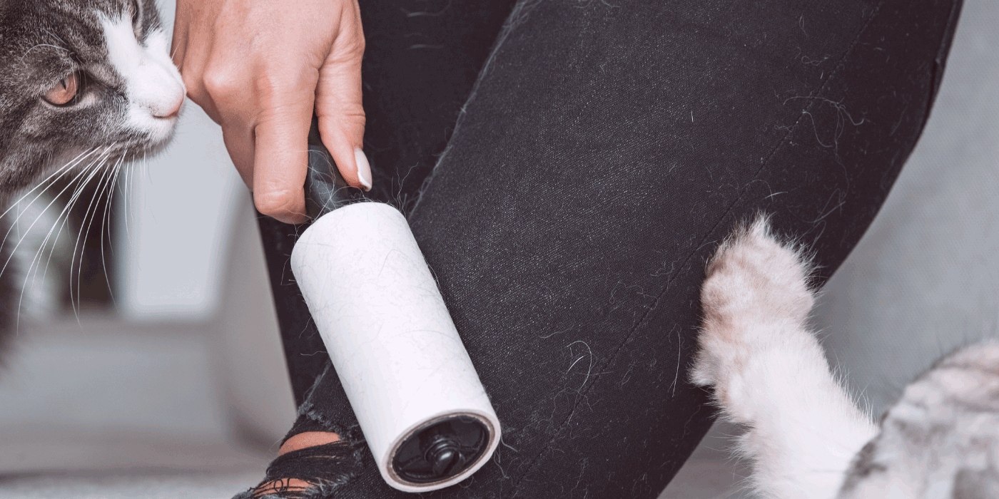pet hair