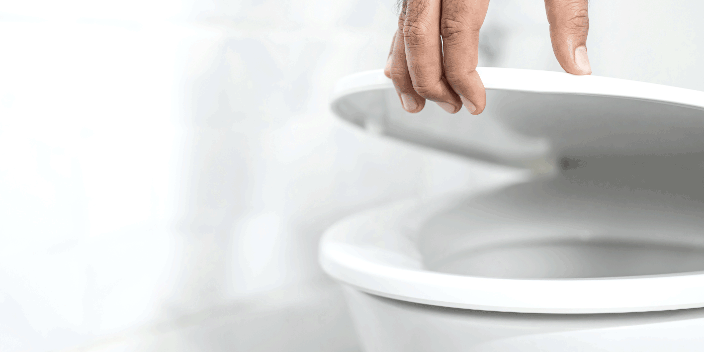 Toilet Seat