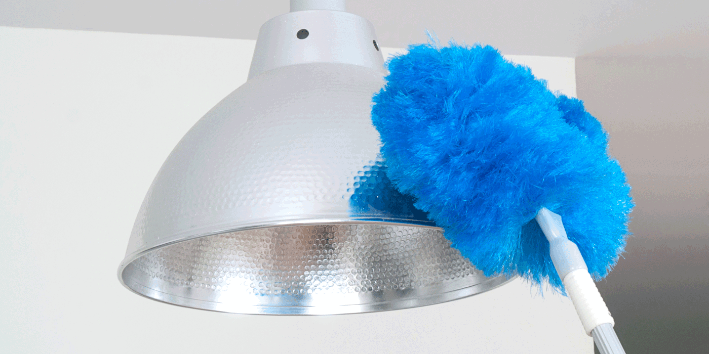 Extendable Duster