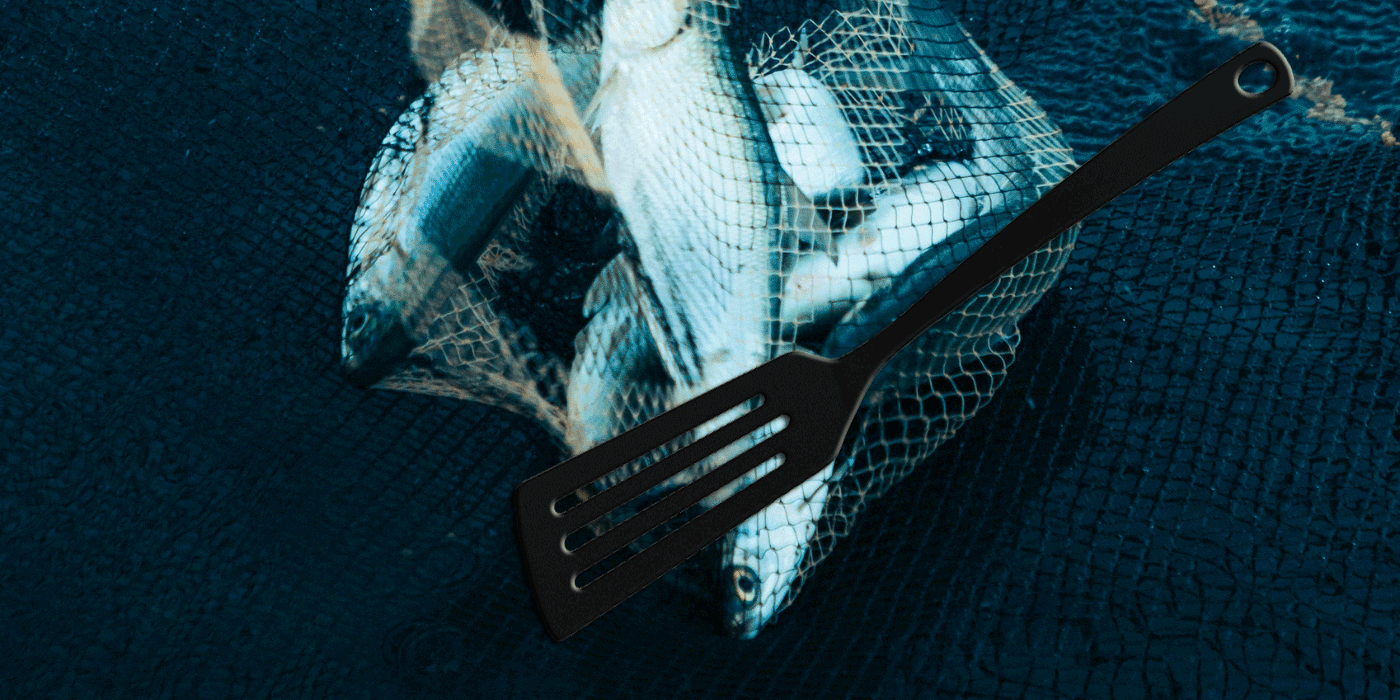 fish flipper