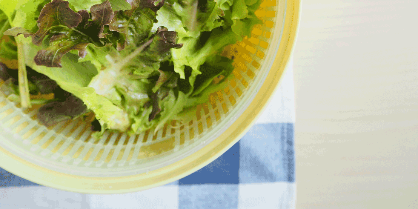 commercial salad spinner