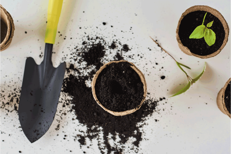 best potting soil for veggies