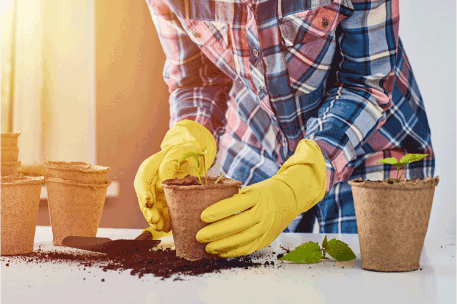 best soil for container vegetable gardening