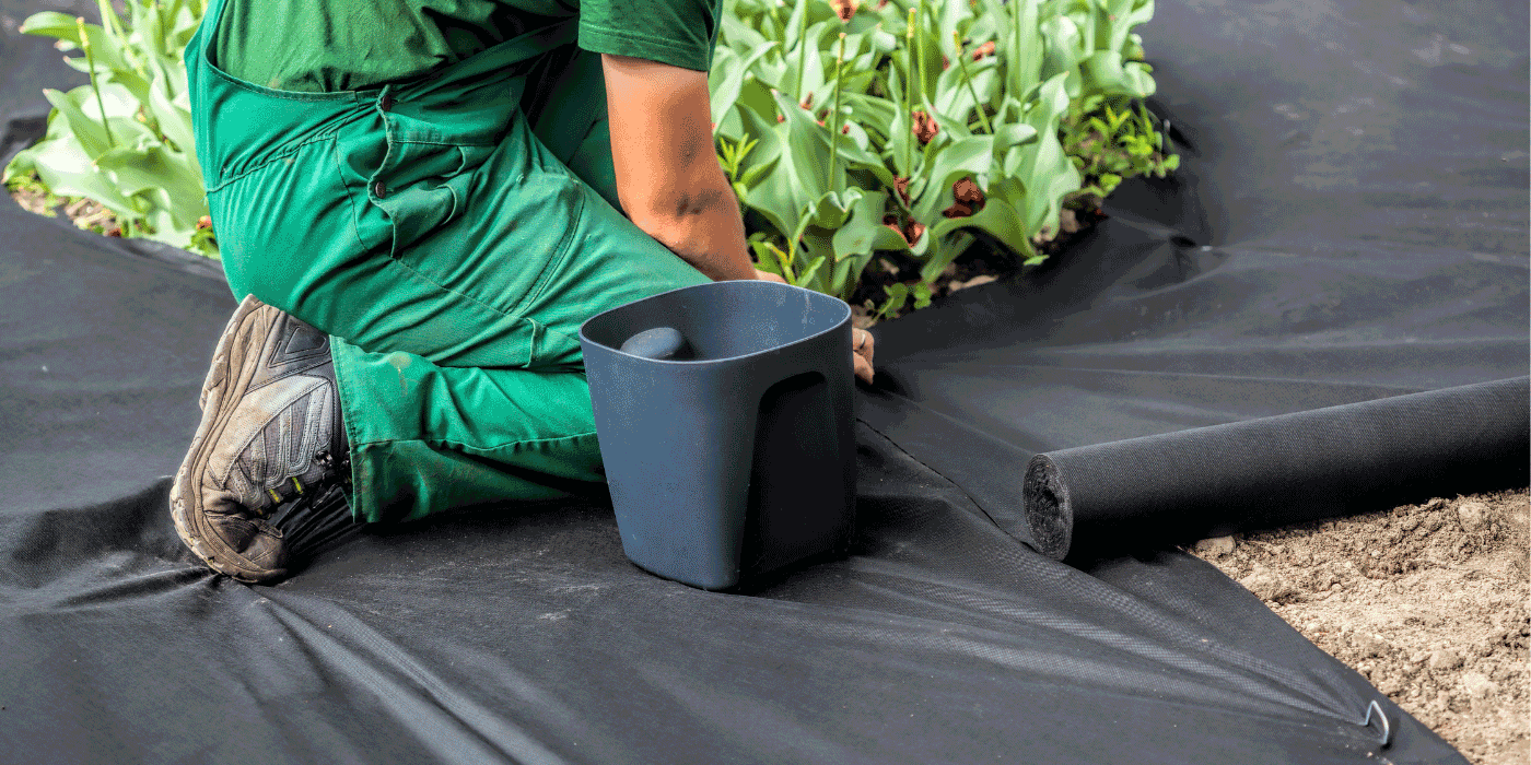 best weed barriers