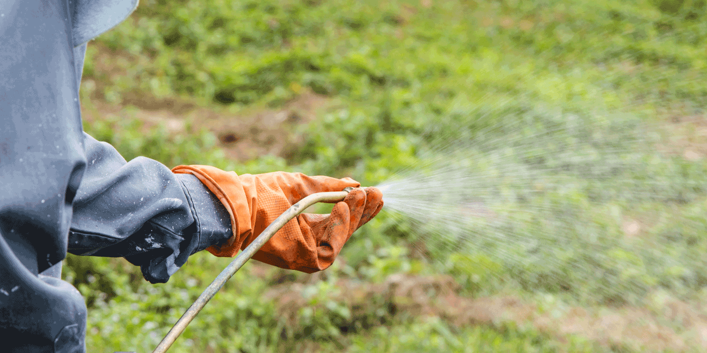 does vinegar kill weeds