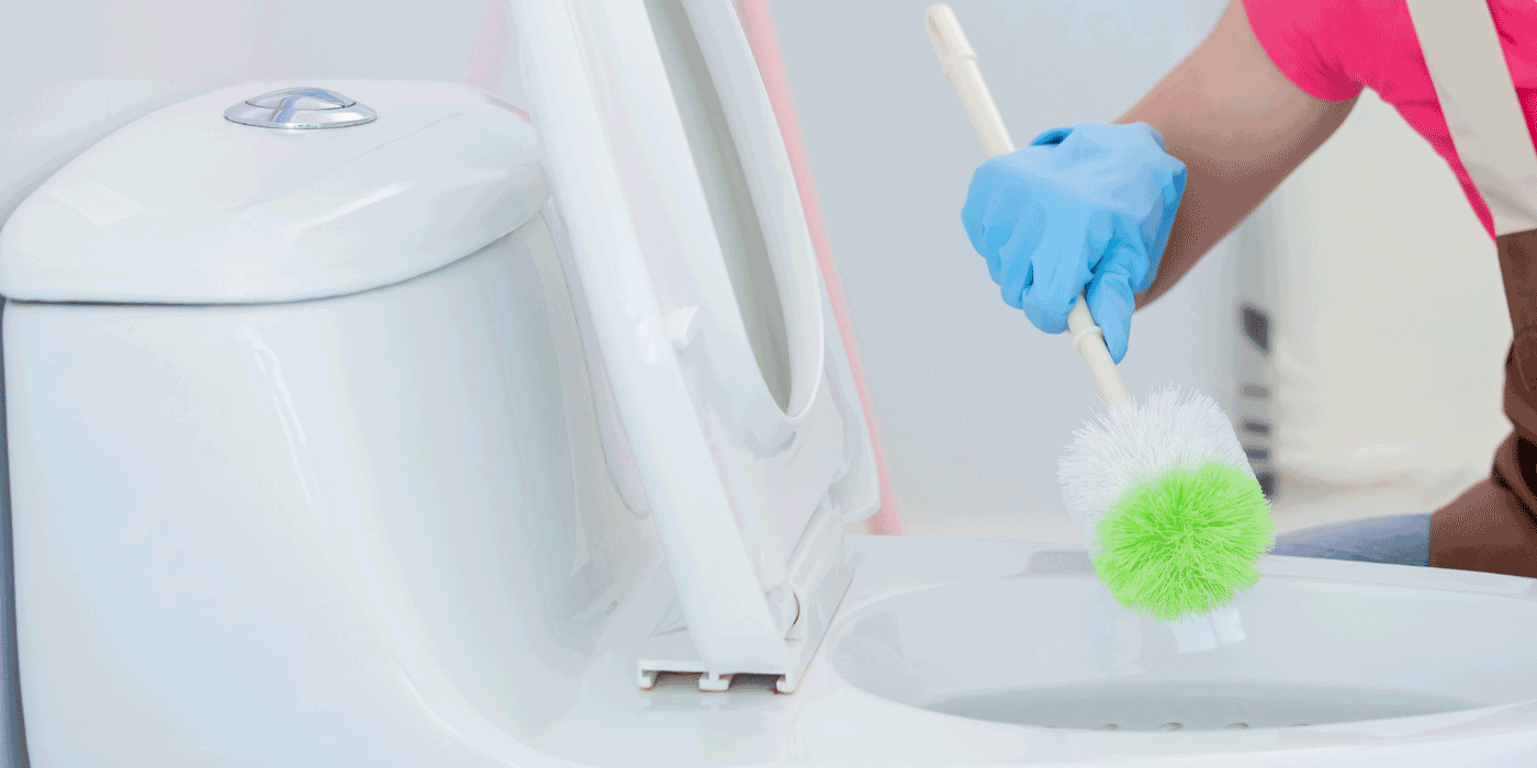 how often should you replace your toilet brush