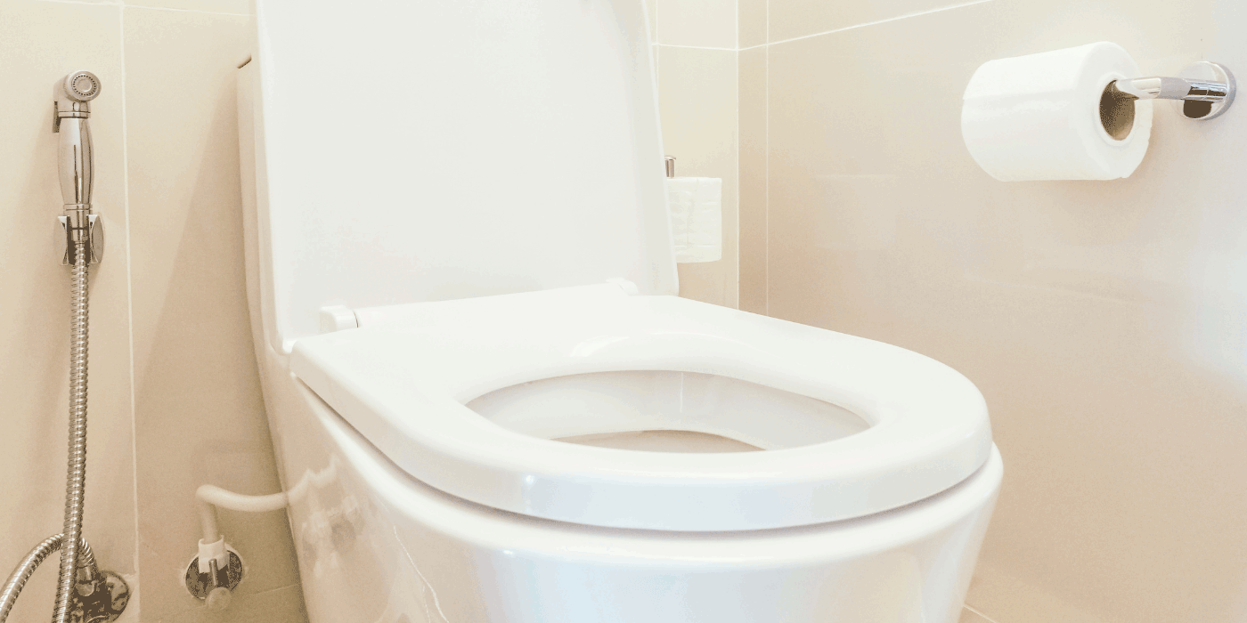 how often should you replace your toilet seat