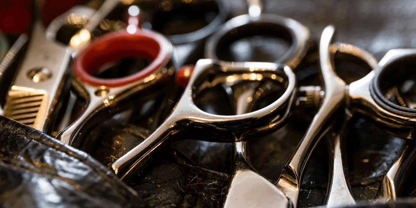 difference between shears and scissors