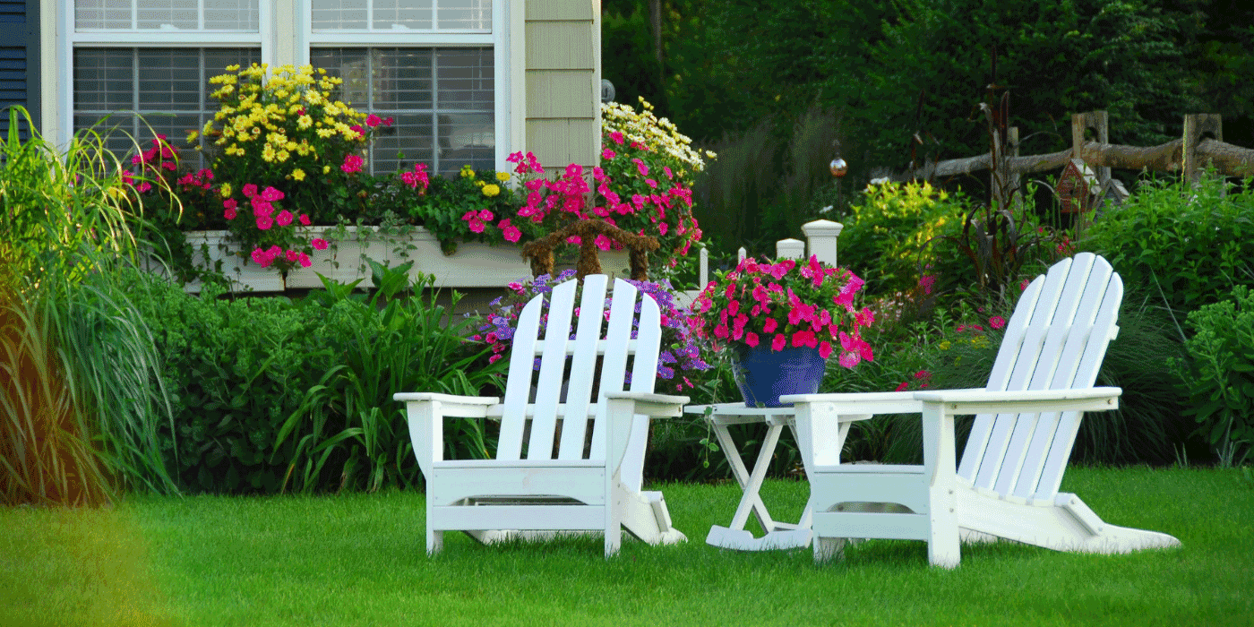 healthy lawn