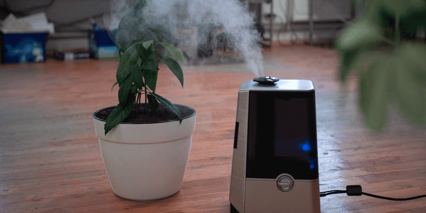 house air purifier