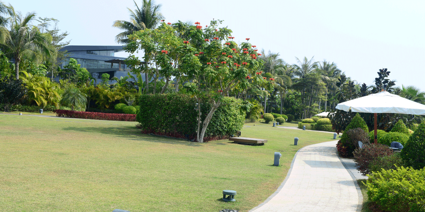 how to get the perfect lawn