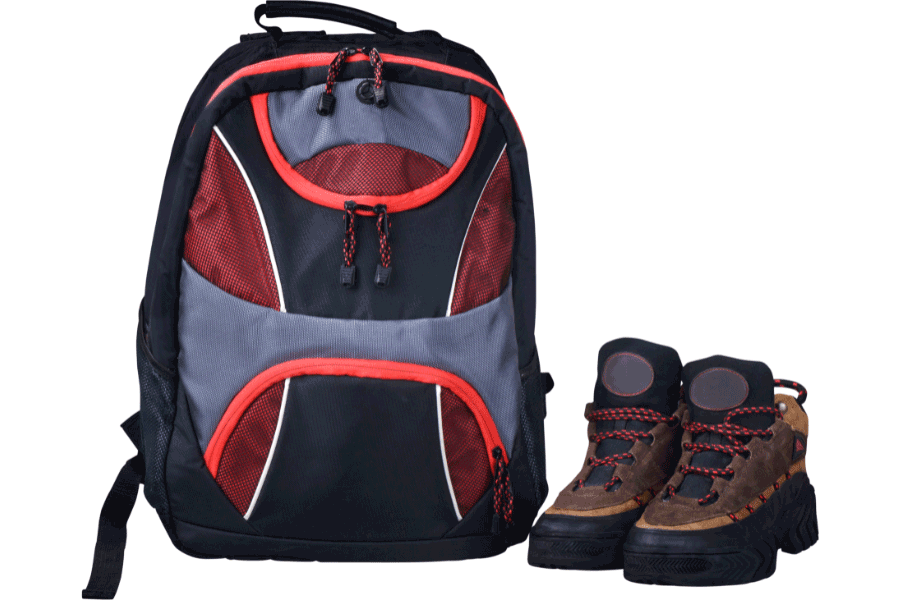 shoe bag