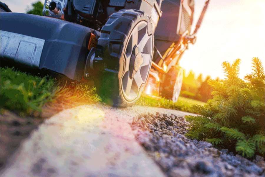 The Spring Lawn Care Tips