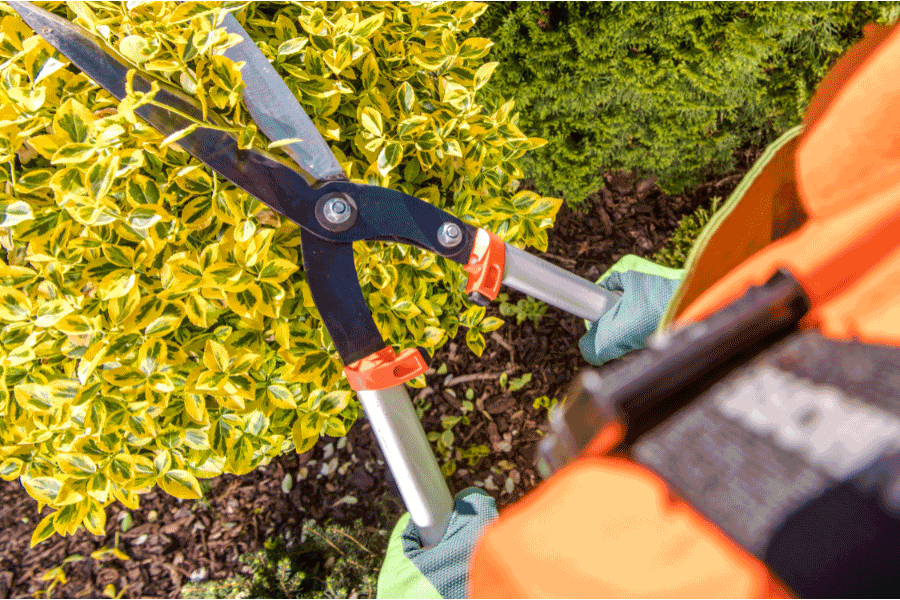 Tools for Cutting