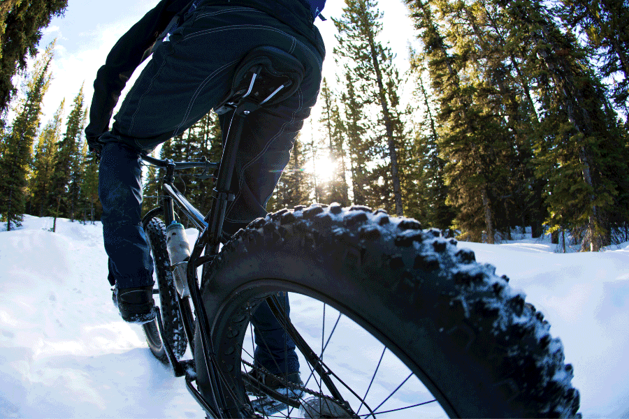 Winter Bikes