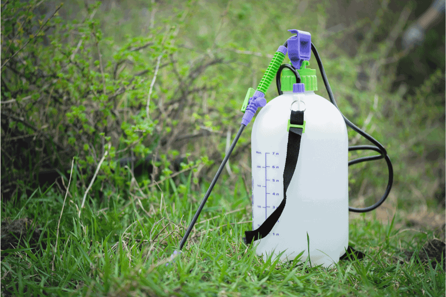 backpack chemical sprayer