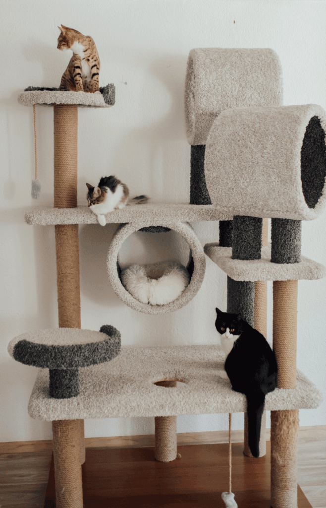 cat tree house