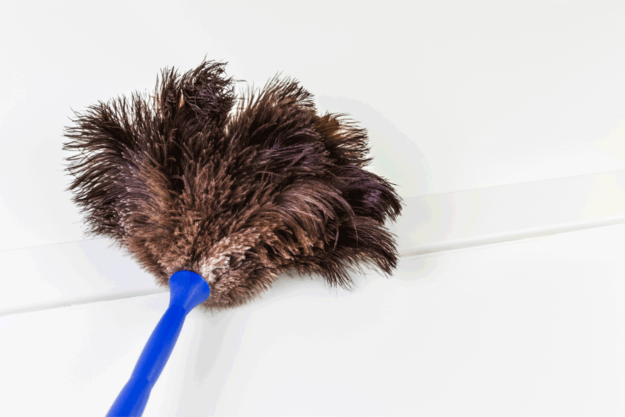 extendable feather dusters