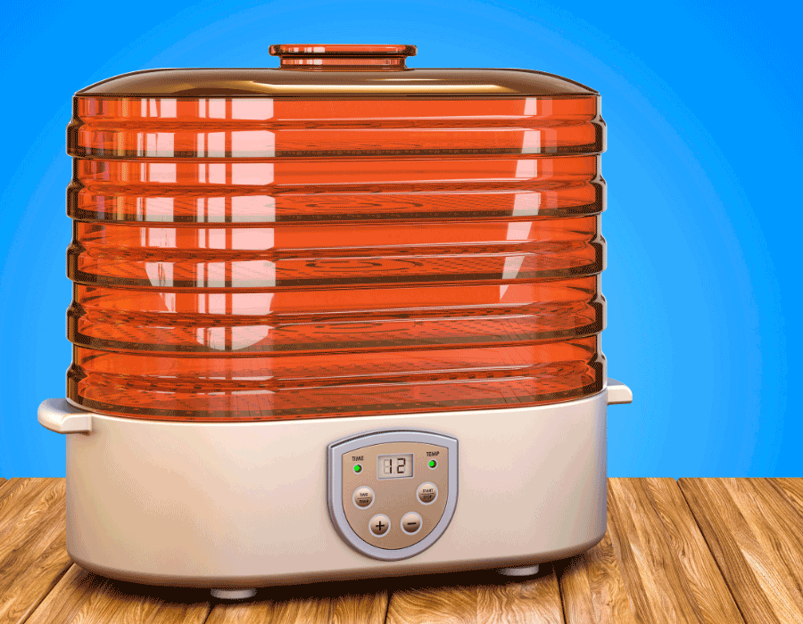fruit dehydrator