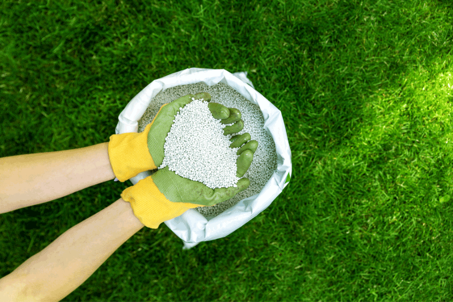 grass fertilizer