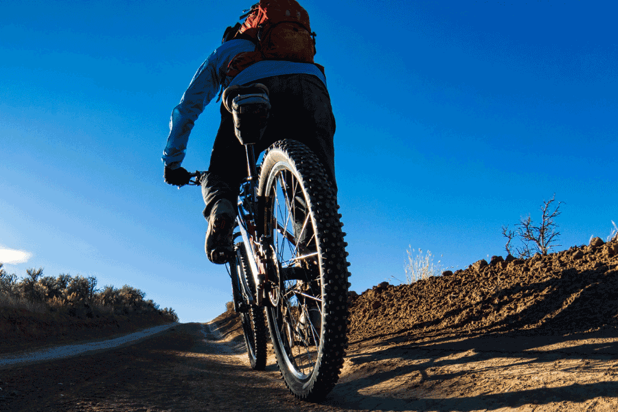 hybrid bicycle