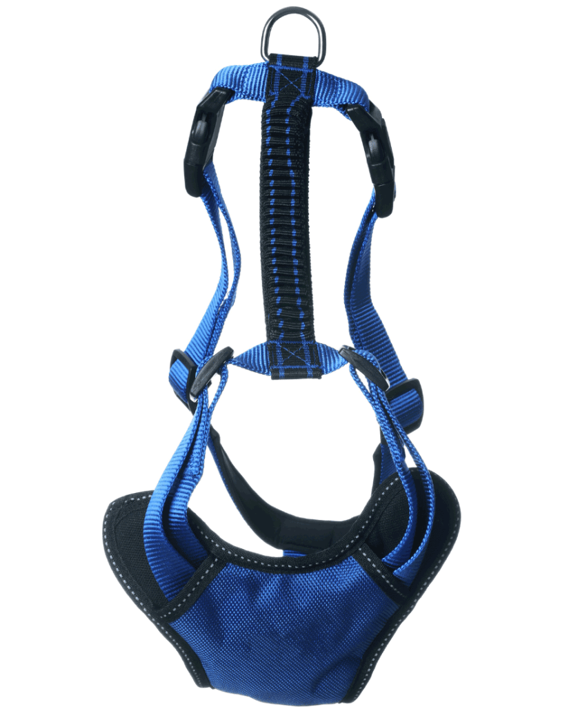 puppy harness