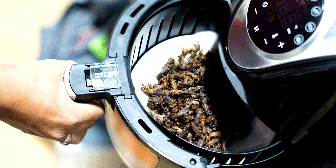 what is wrong with my air fryer