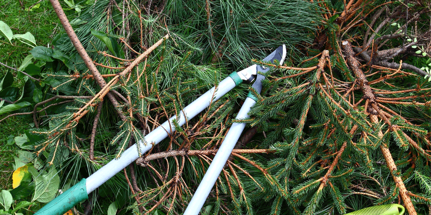 extendable loppers