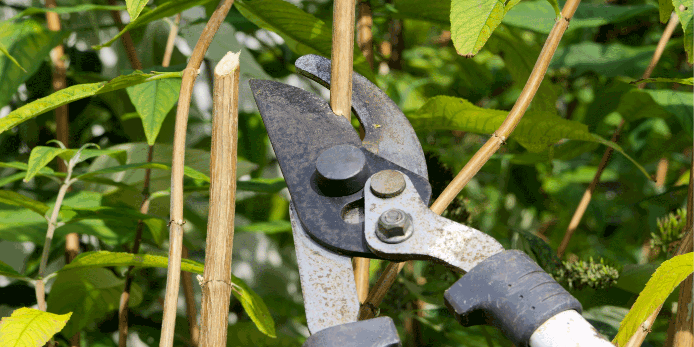 fiskars loppers