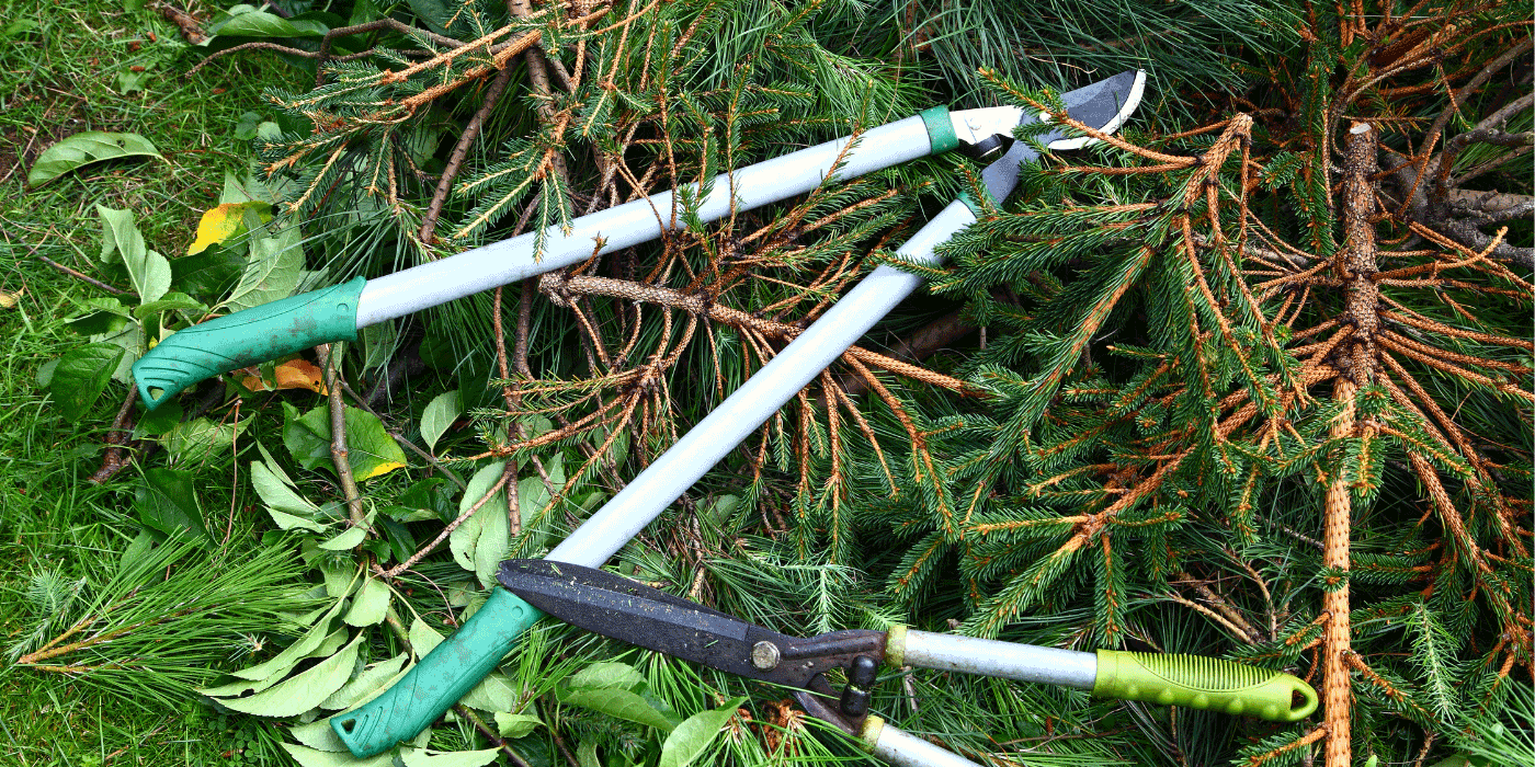 garden loppers