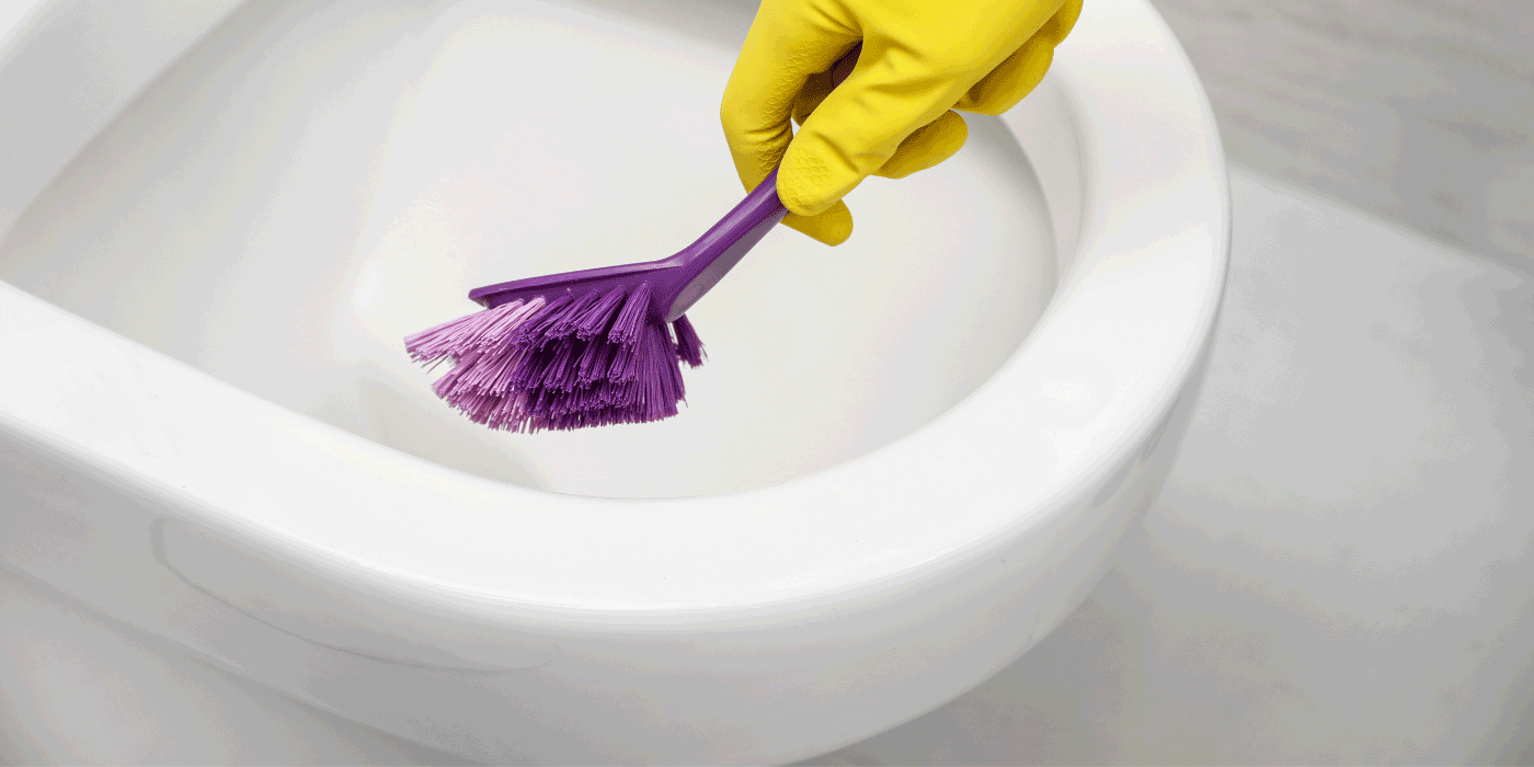 how do you clean a grey toilet bowl
