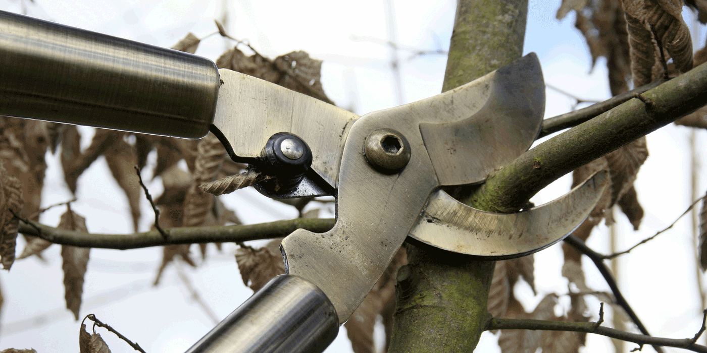 replacement blades for fiskars loppers