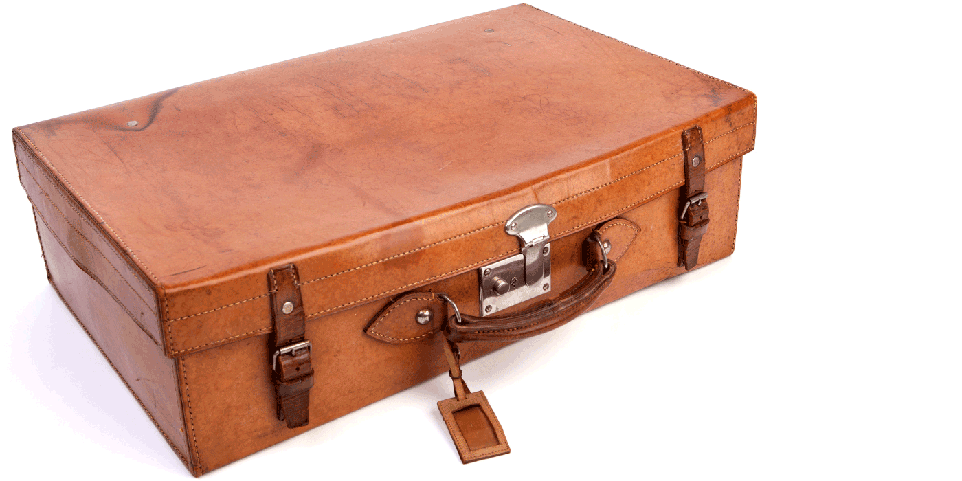 sewing machine carrying case