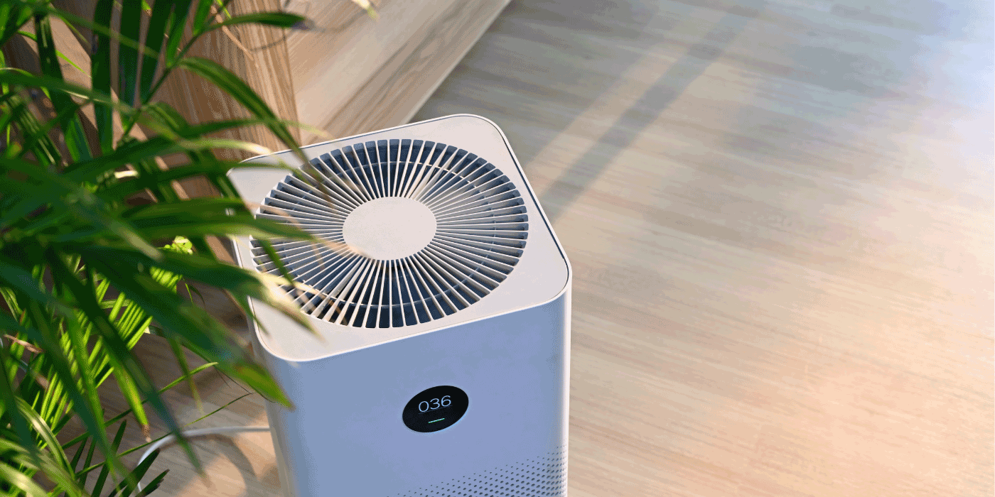 are air purifiers necessary