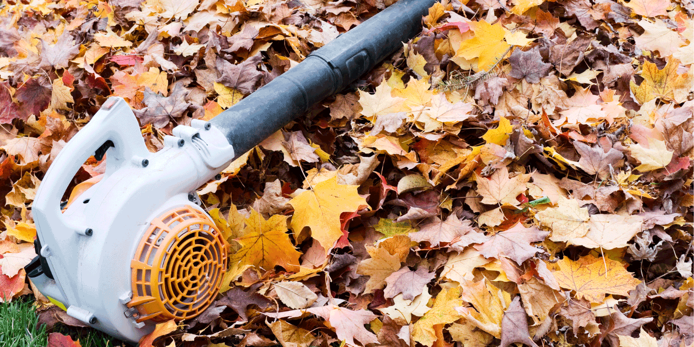 dewalt leaf blower