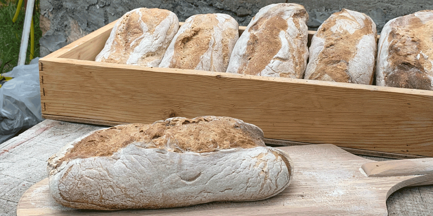 sourdough bread