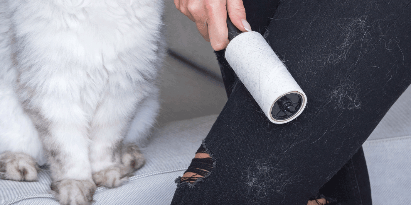do you have tips for removing pet stains from fabric