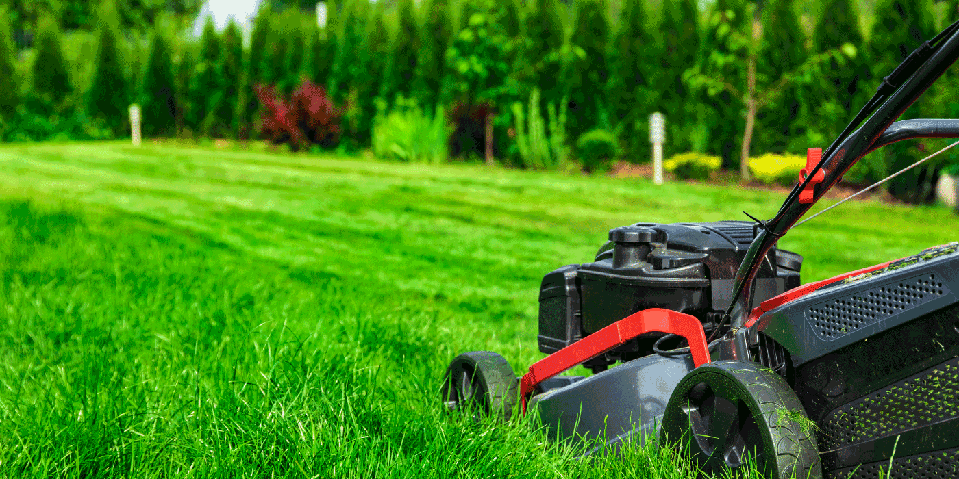 Best Lawn Sweeper For Grass Clippings
