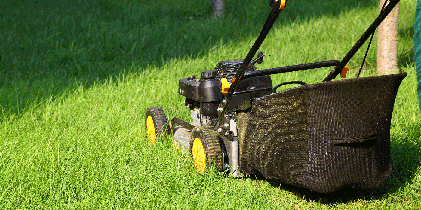 best lawn sweeper